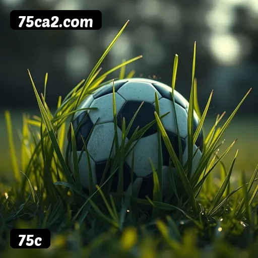 Requisitos do APK da 75c para Android